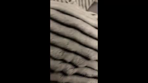 Snapshot of randyjohnson504 chatting on November 2025 05:06:01 AM randyjohnson504 online show from November 2025 05:06:01 AM