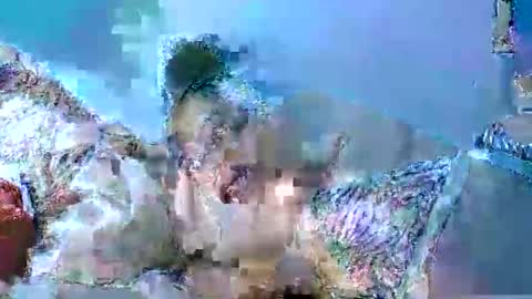 rasoelysca online show from March 2026 06:08:01 AM