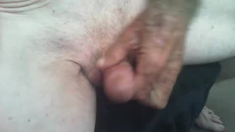 rattcatt online show from March 2025 12:56:02 PM