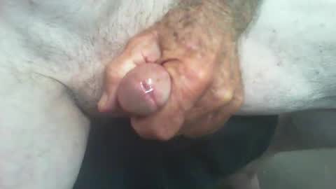 rattcatt online show from September 2025 02:11:01 PM