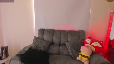   online show from February 2026 02:00:02 PM