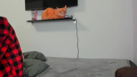 Snapshot of raveneusbiter chatting on February 2026 11:25:01 AM Raveneusbiter online show from February 2026 11:25:01 AM