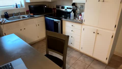 raventhebigbodybitch online show from February 2025 01:08:02 PM