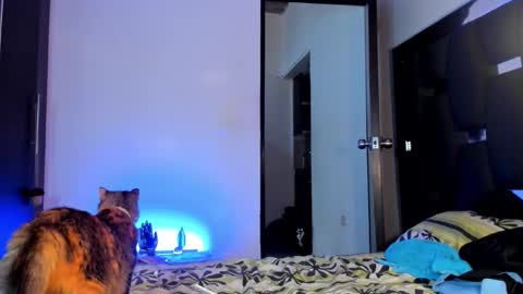 Snapshot of raydevil_ chatting on September 2025 09:42:01 PM Rayn online show from September 2025 09:42:01 PM