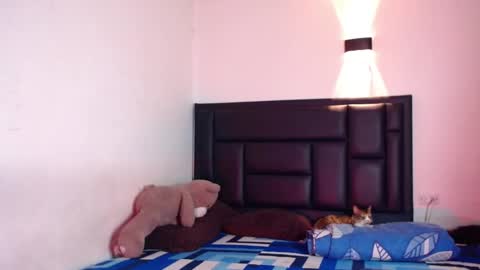 Snapshot of raydevil_ chatting on October 2025 07:33:01 AM Rayn online show from October 2025 07:33:01 AM