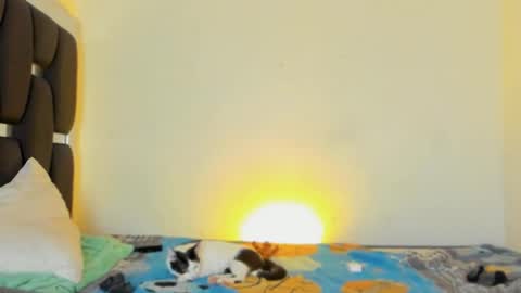 Snapshot of raydevil_ chatting on November 2025 04:40:01 PM Rayn online show from November 2025 04:40:01 PM