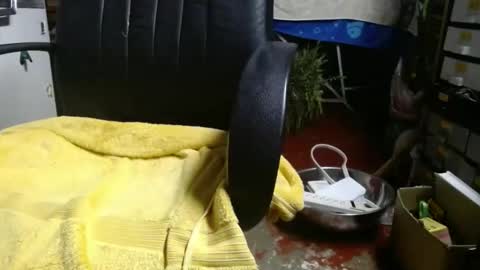 Ray online show from November 2025 01:07:02 AM