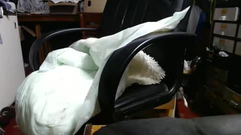 Ray online show from April 2026 11:03:02 AM