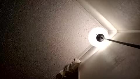 razalgirls online show from November 2025 03:48:01 AM