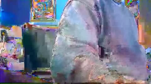 Snapshot of rb69er905364 chatting on December 2024 04:52:01 PM rb69er905364 online show from December 2024 04:52:01 PM