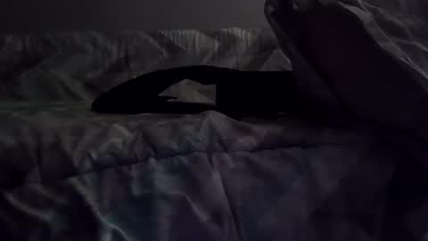 rcalty online show from November 2025 01:37:01 AM