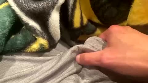 realbigload77 online show from September 2025 02:23:01 AM