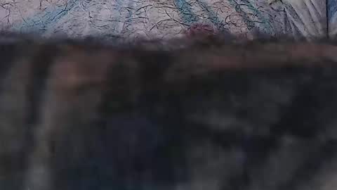 realrubpirate online show from April 2026 08:07:02 AM