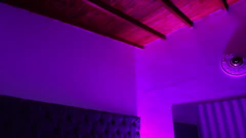 Snapshot of rebeca_cortez1 chatting on December 2024 07:08:01 AM I invite you to my birthday on November 3th online show from December 2024 07:08:01 AM