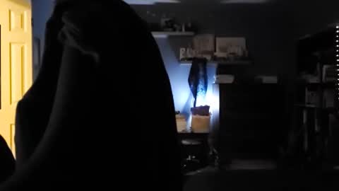 Snapshot of rebelstarlight chatting on January 2026 08:29:01 AM rebelstarlight online show from January 2026 08:29:01 AM