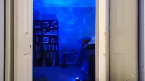 Snapshot of rebelstarlight chatting on February 2026 10:00:02 AM rebelstarlight online show from February 2026 10:00:02 AM