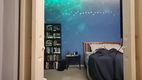 Snapshot of rebelstarlight chatting on February 2026 08:15:02 AM rebelstarlight online show from February 2026 08:15:02 AM