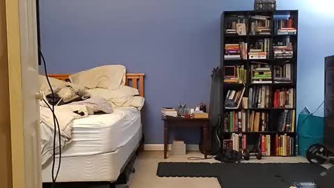 rebelstarlight online show from March 2026 07:42:01 AM