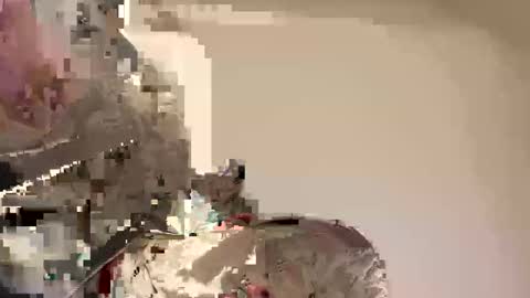Ali j online show from April 2026 08:57:02 PM