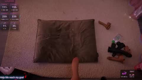 Redhead Shark online show from January 2026 01:14:01 PM