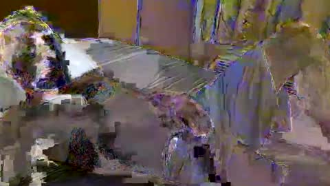 Kevin online show from May 2026 03:56:01 AM