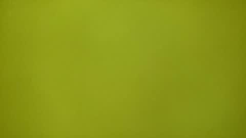 Redplume online show from February 2026 11:16:01 AM