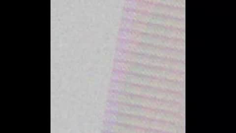 shy online show from November 2025 04:15:02 AM