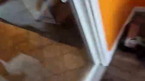 reggie007007 online show from January 2026 02:08:02 PM