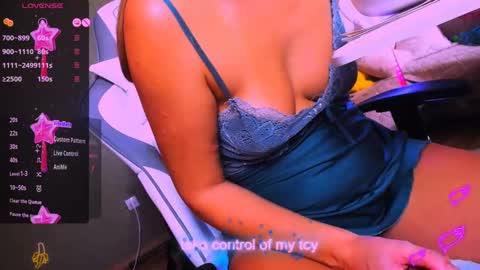 Snapshot of reggiemeow chatting on February 2025 05:09:01 AM reggieMeow online show from February 2025 05:09:01 AM