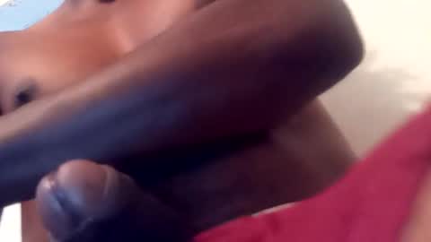 reinft online show from March 2026 10:40:01 AM