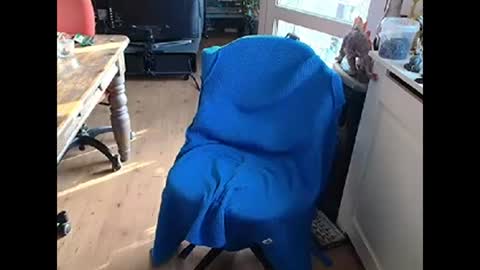 relaxyio online show from March 2025 07:42:02 AM