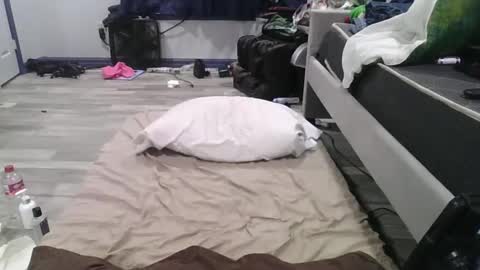 remshotdt online show from February 2025 04:26:01 PM