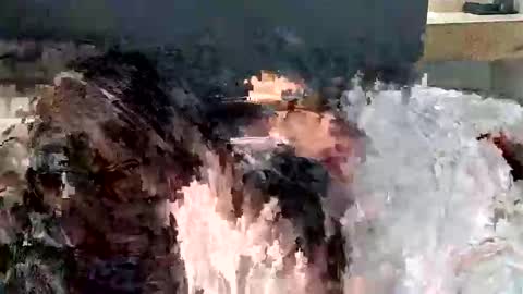 Snapshot of renaexx03 chatting on September 2025 02:28:02 AM renaexx03 online show from September 2025 02:28:02 AM