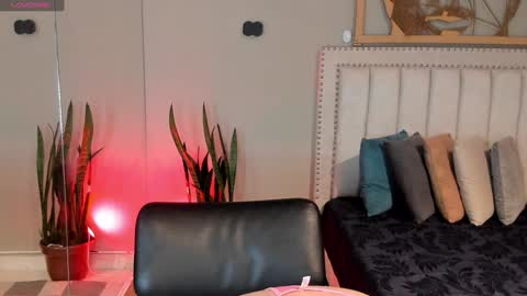      online show from February 2025 12:06:02 PM