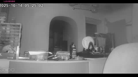 Snapshot of reza240782 chatting on October 2025 04:24:01 AM reza240782 online show from October 2025 04:24:01 AM