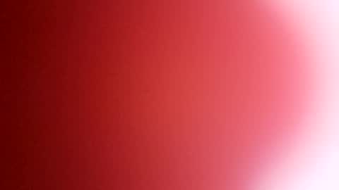 rhino69xx online show from December 2024 06:54:02 AM