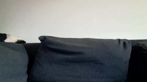 Snapshot of rhymes2479 chatting on March 2026 06:03:01 AM Shaved cock ready online show from March 2026 06:03:01 AM