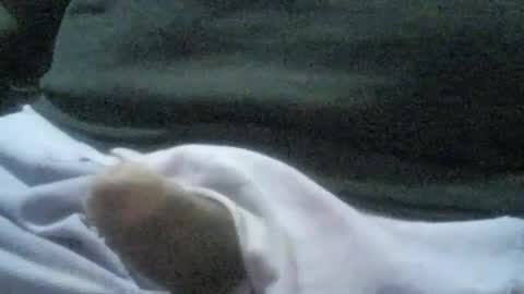 Snapshot of ricardo160291 chatting on January 2025 01:09:02 AM ricardo160291 online show from January 2025 01:09:02 AM