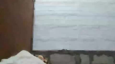 Snapshot of richebelle chatting on May 2026 12:10:02 PM richebelle online show from May 2026 12:10:02 PM