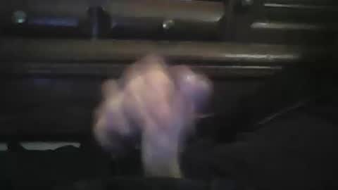 Snapshot of rlpl chatting on February 2026 05:42:01 PM rlpl online show from February 2026 05:42:01 PM