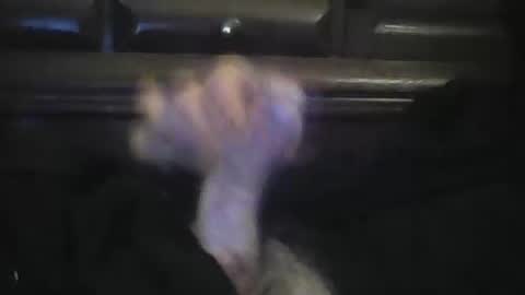 Snapshot of rlpl chatting on February 2026 06:05:01 PM rlpl online show from February 2026 06:05:01 PM