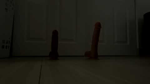 ro8183yguuk online show from October 2025 09:54:02 AM