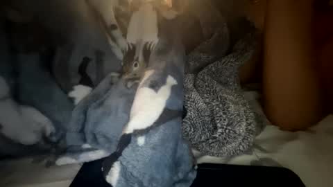 roarmance1 online show from October 2025 05:35:01 PM