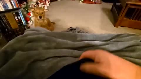 robbiebob6828 online show from January 2026 04:26:02 AM