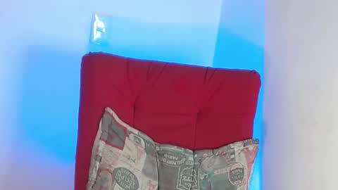 Snapshot of robert_leroy chatting on February 2025 10:13:01 PM Stiven - online show from February 2025 10:13:01 PM