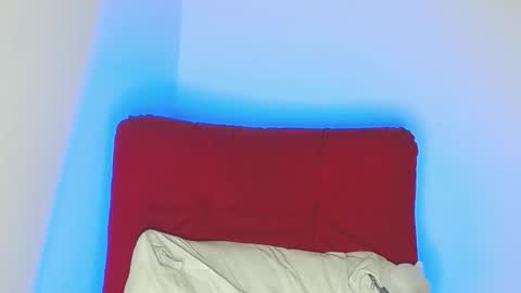 Snapshot of robert_leroy chatting on March 2026 08:09:02 AM Stiven - online show from March 2026 08:09:02 AM