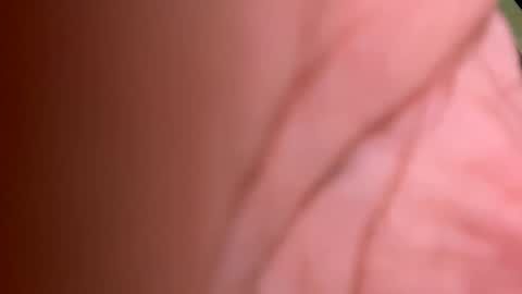 roberto925 online show from January 2025 07:11:01 PM