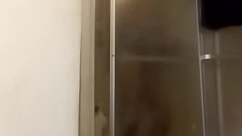 robertsaiz4200 online show from November 2025 11:15:01 PM