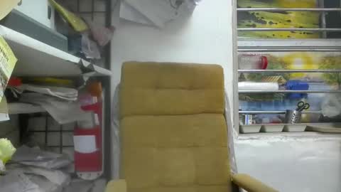 Robertsalia online show from February 2026 08:33:02 AM