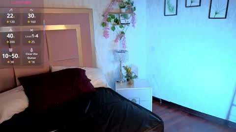 Snapshot of robinbennett chatting on November 2025 11:51:02 AM robin D online show from November 2025 11:51:02 AM